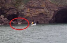 VIDEO: Stranded cow rescued from the bottom of a cliff by Waterford lifeboat