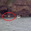VIDEO: Stranded cow rescued from the bottom of a cliff by Waterford lifeboat
