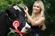Irish dairy farmers are mad at Rosanna Davison for telling people to go vegan