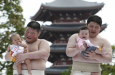 Sumo wrestlers make babies cry on purpose - but that's a good thing