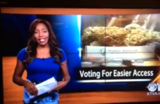 Reporter quits job live on air after revealing herself to be a marijuana activist