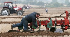 Hate mucky fields? See this year's Ploughing Championships on Google Street View