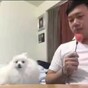 This dog is all of us when our friend's food is brought out before ours