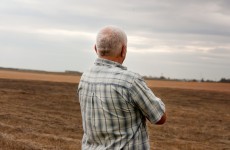 Over 45% of farmers' family members treated for mental health, with half impacted by suicide