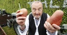 Straight lines, traffic jams and Garda fans: Here's 8 things we learned at the National Ploughing Championships...