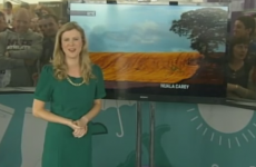 RTÉ meteorologist Nuala Carey had quite an audience at the Ploughing yesterday...