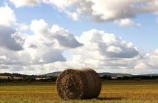 Fertiliser and feed-supplier makes €87m - and thanks mother nature for it