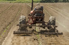 Minister Coveney announces new service for bereaved farm families