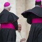 Pope Francis fires bishop who promoted priest accused of sexual abuse