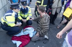 Man jumps into Liffey to save pet rabbit