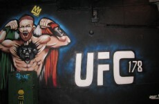 Dublin artist's tribute to Conor McGregor ahead of Vegas showdown