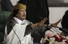Gaddafi's son says western nations a 'target'