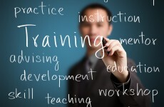 SME focus: Everything you need to know about education and business