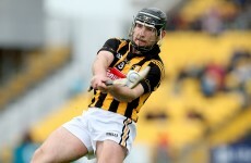 Kilkenny's Richie Hogan gets a fairytale finale to perfect season