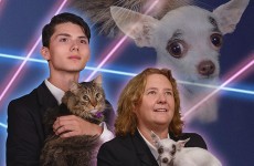 Student convinces school to include his majestic 'laser-cat' photo in yearbook