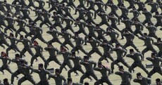 The Week in Photos: Multiplicity