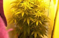€200,000 worth of drugs found in Cavan last night