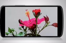 5 apps worth downloading this week