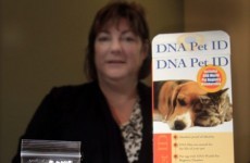 Owners beware: Landlords turn to dog poop DNA tests
