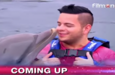 Simon Cowell pulls dolphin scenes from this week's X Factor
