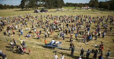 425 Irish dogs helped break a Guinness World Record