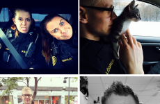 Icelandic police's adorable Instagram will restore your faith in humanity