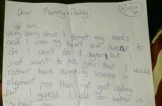 Hilarious letter from Irish 9-year-old details exactly what she'd do to get a dog