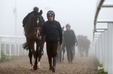 Ruby Walsh grateful for Sean O'Brien's advice on the road to recovery