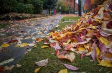 7 glorious feelings that prove autumn is the best season ever