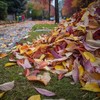 7 glorious feelings that prove autumn is the best season ever