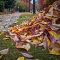 7 glorious feelings that prove autumn is the best season ever