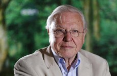 Skull found in David Attenborough's garden solves murder mystery