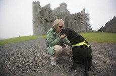 In pics: Our guide dogs changed our lives