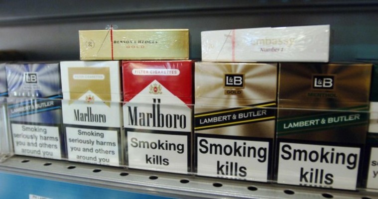 cigarette smoke and allergies Can You be Allergic to Cigarette Smoke? Know the Truth