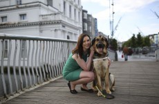 Opinion: Losing my sight at 23 was traumatic, but my dog is with me every step of the way