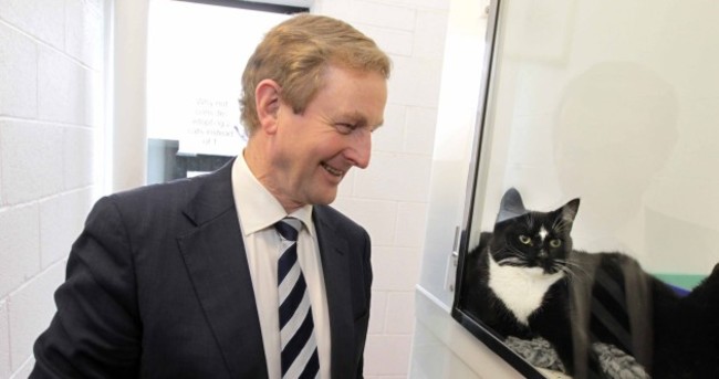 State of the Nation: Not 'Top Cat' anymore ... Enda's got company at the top of the polls