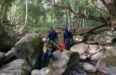 Woman found alive after 17 days in the Australian bush