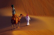 Google opts for Camel View to help capture Arabian desert