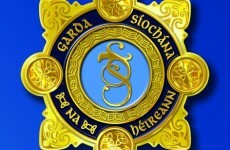 Gardaí appeal for witnesses to car crash that seriously injured 13-year-old boy