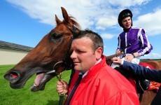 Dual Derby winner Australia retired with hoof injury