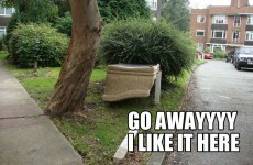 The Drunk Furniture Twitter account perfectly describes your Saturday night out