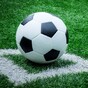'A tragic death': 15-year-old boy dies after collapsing during soccer match