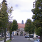 A UN employee has died from Ebola in Germany