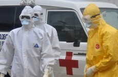 Someone bought ebola.com and is trying to sell it off for €118,500