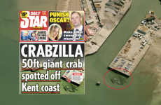 Enormous nightmare crab 'spotted' off the shore of UK seaside town