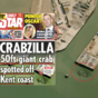 Enormous nightmare crab 'spotted' off the shore of UK seaside town