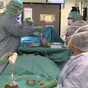 World's first synthetic organ transplant carried out in Sweden