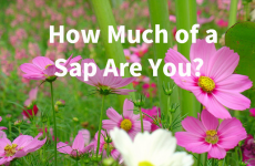 How Much of a Sap Are You?