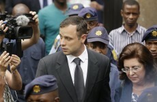 Reeva Steenkamp's killing "ruined our whole family"