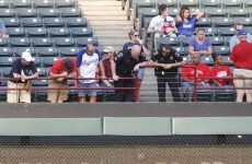 Fan dies after falling from stands at baseball game
